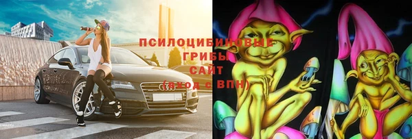 прущие грибы Алексин