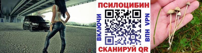 Галлюциногенные грибы MAGIC MUSHROOMS  Миасс 